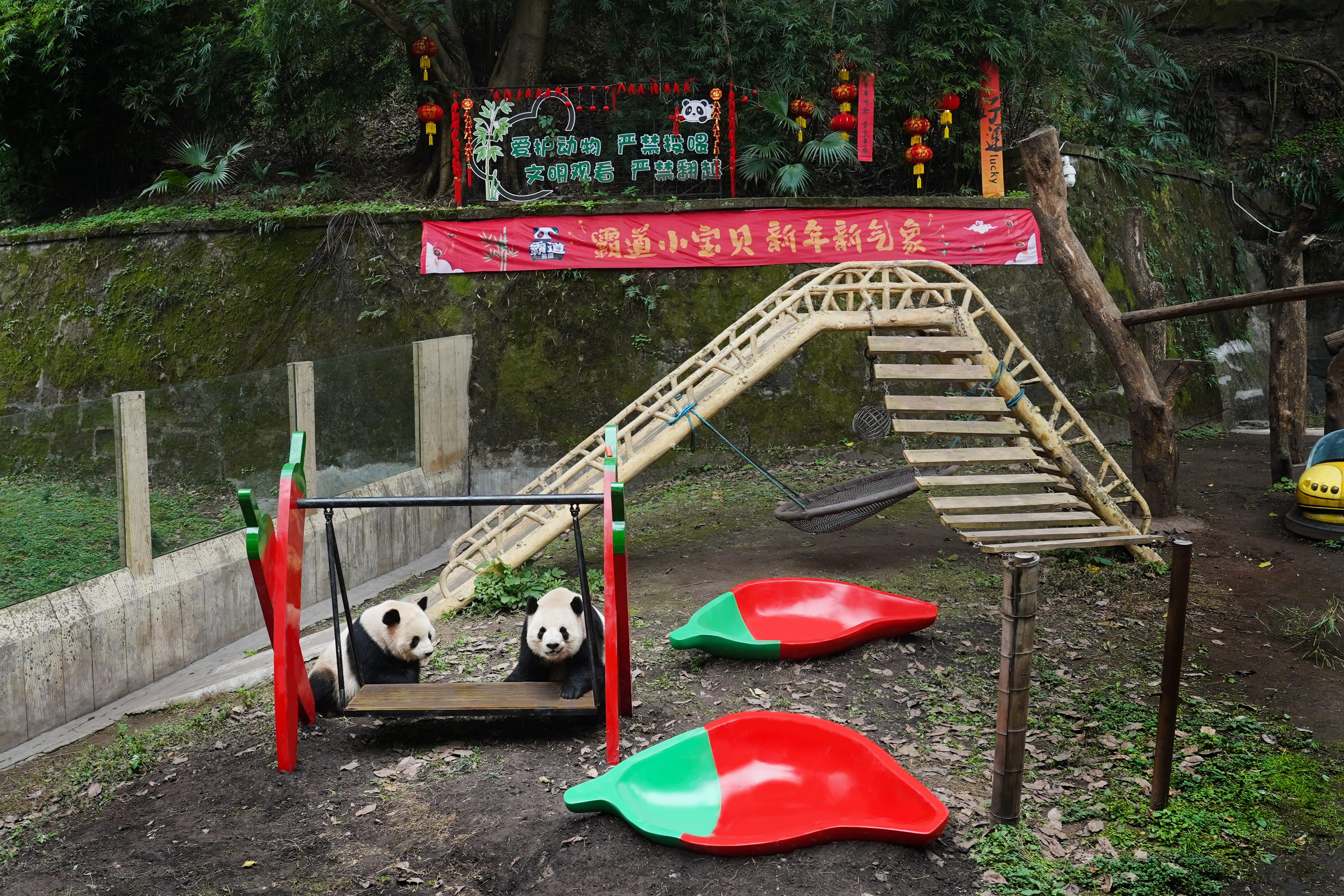 1706926395843963.jpg 1706926395843963.jpg